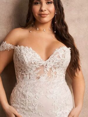 Robe de Mariage Civil Grande Taille 5 S4b58b5a74ceb4a04982620bfc6773b1bH Cropped
